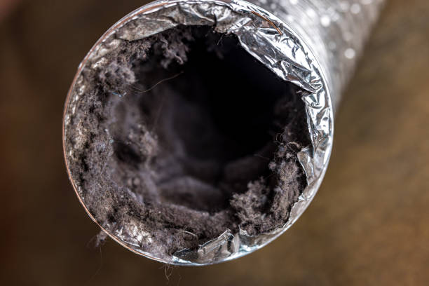 Best HVAC Air Duct Cleaning  in Blossburg, PA